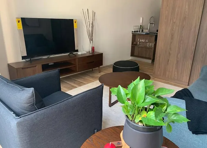 Apartment Nuevo Y Lujoso Depto Con Amenidades Nuevo Polanco Mexico City